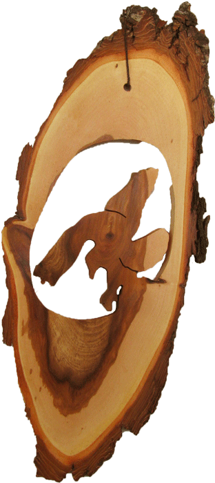 Mo-w09 Eagle Landing - Wood (312x700)