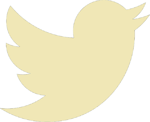 White Twitter Png Vector (615x500)