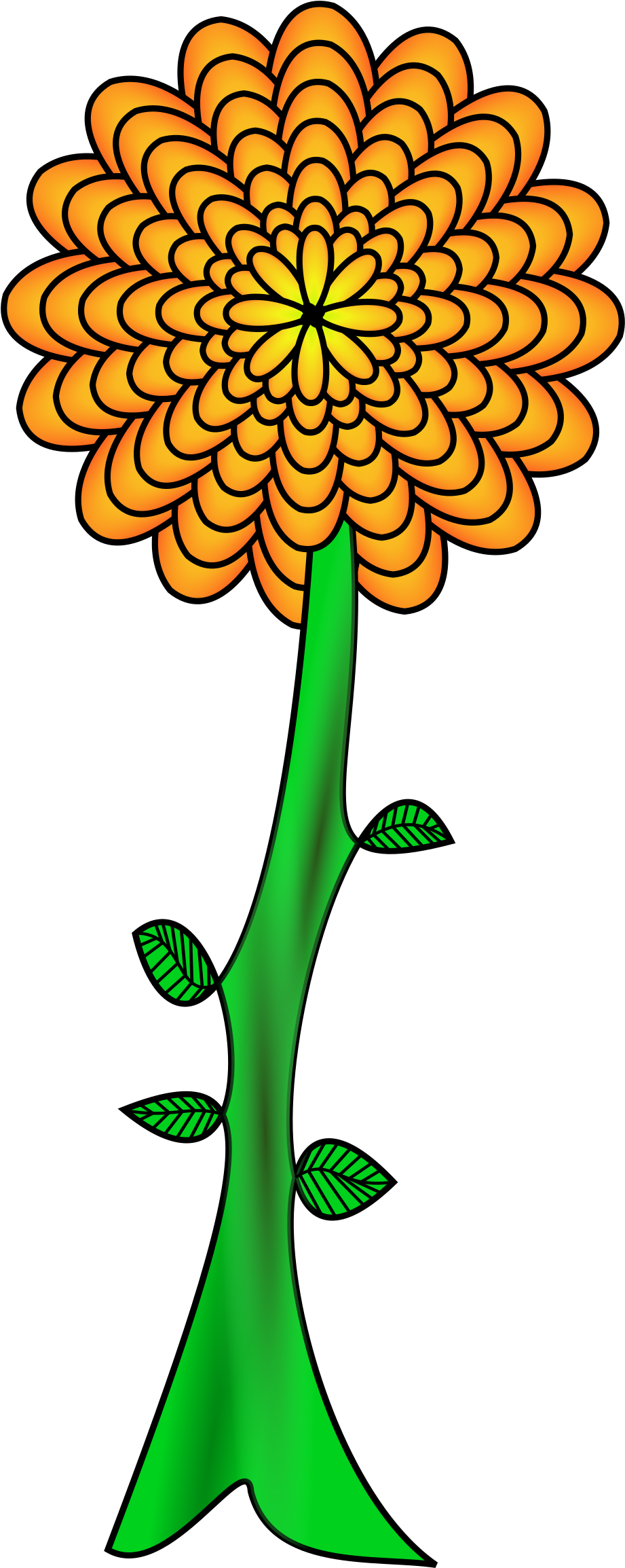 Path - Path (1012x2400)