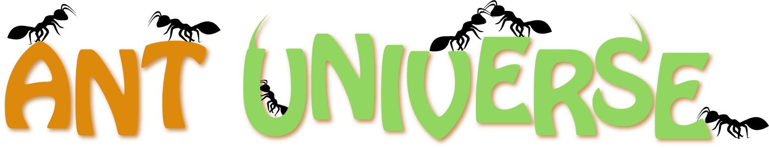Ant Universe - Ant (1548x299)