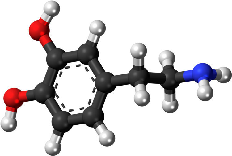 Amine Compounds (chemical Compounds) (800x554)