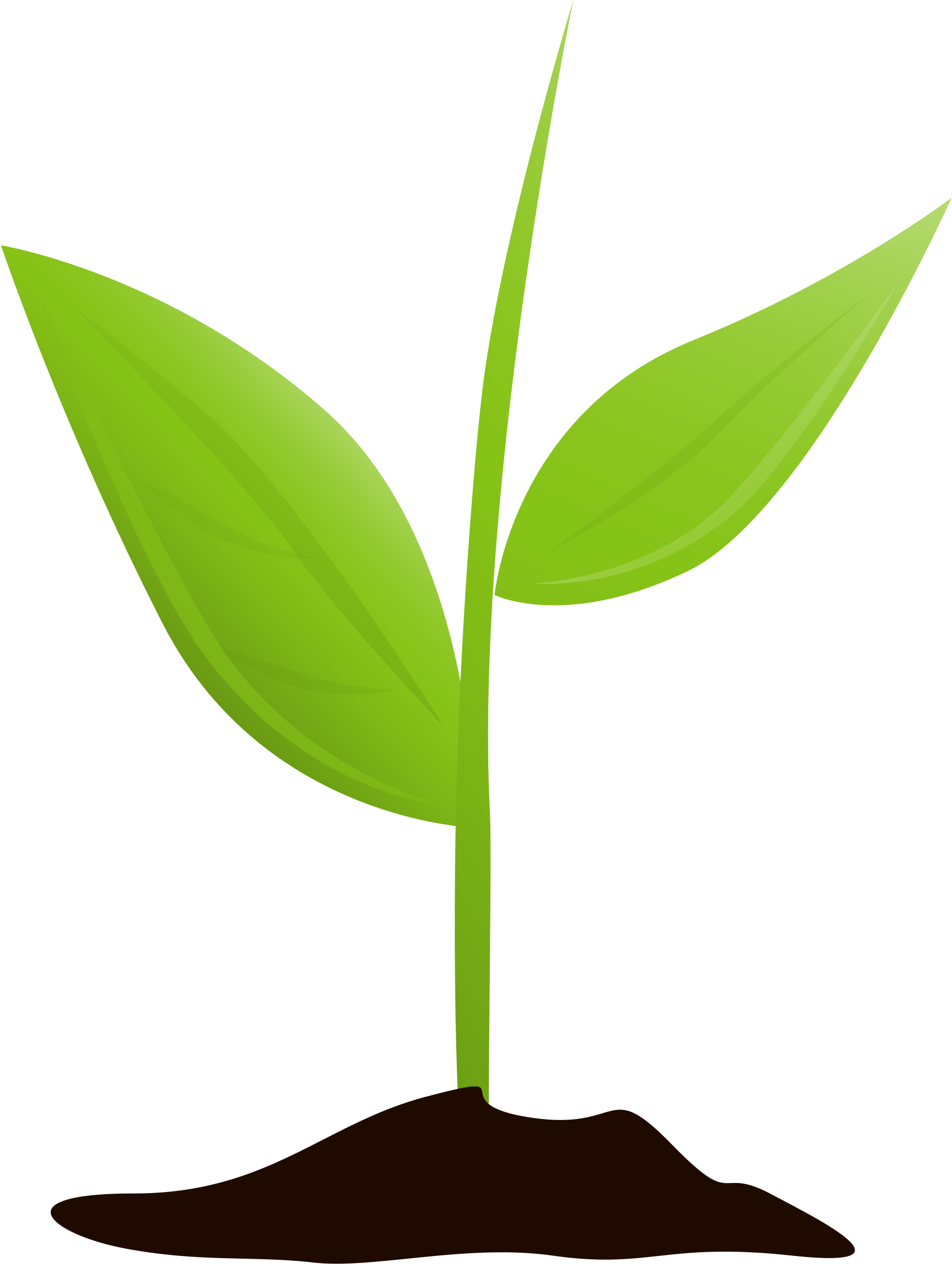 Get Started And Grow - Plant Growing Transparent (3000x3154)