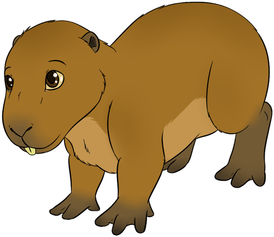 Capybara By Michiko1125 - Dog (1024x683)