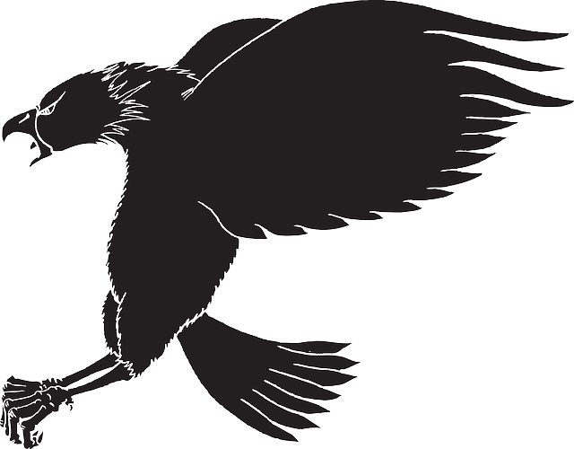 Vulture Vector Eagle Open Wing - Eagle (640x500)