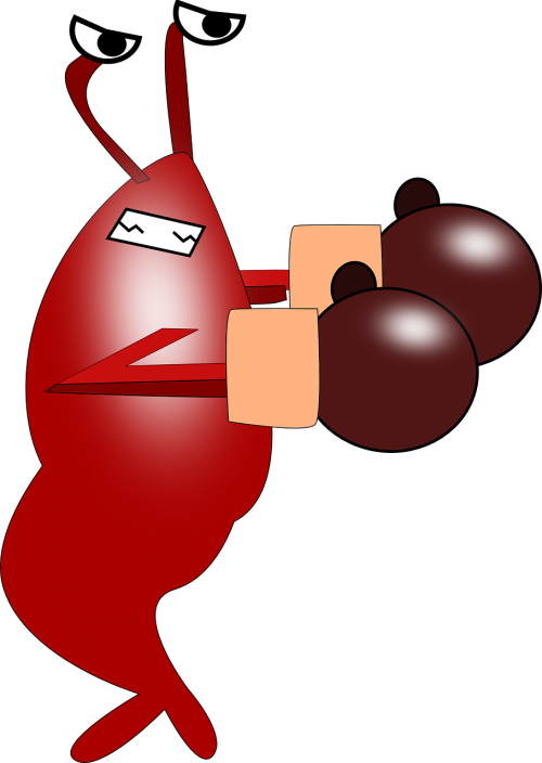 Vector Graphics - Vector Graphics (500x704)