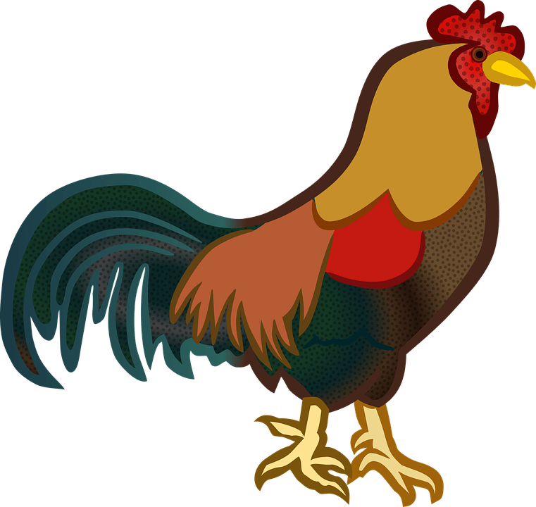 Cock Clipart (761x720)