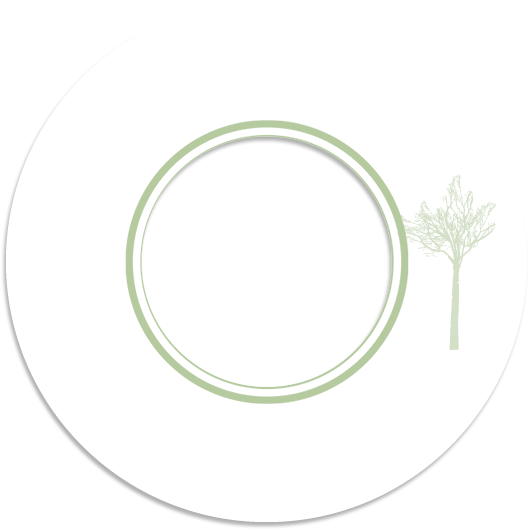 Circle (540x540)