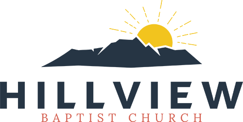 Hill View Logo Png (500x251)