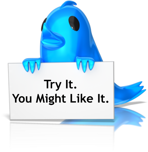 Twitter (625x625)