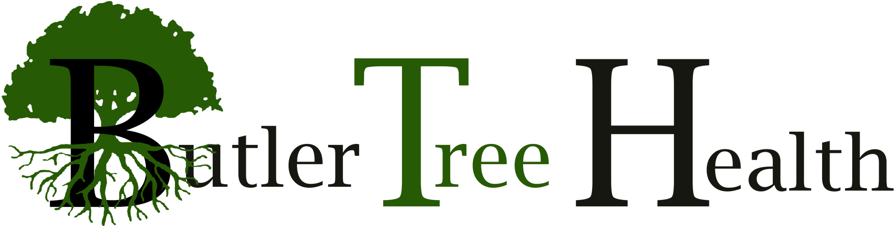 Tree With Roots (1920x459)