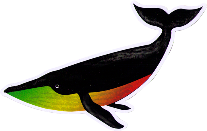 Small Bumper Sticker / Decal - Decal (700x444)