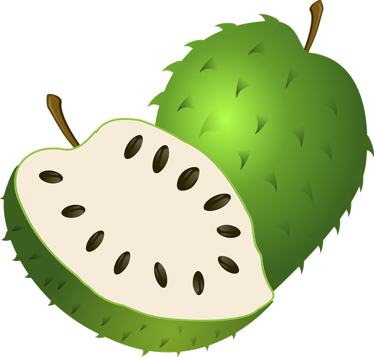 G4 - Buah Sirsak (754x720)