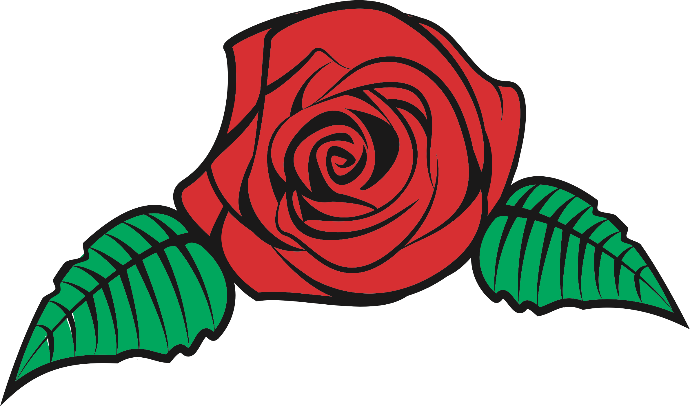 Big Image - Rose Vector Png (2381x1402)