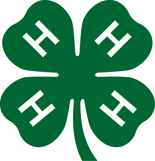4 H (658x685)