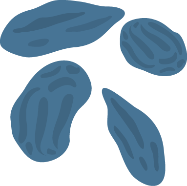 Black Raisins - Iron (383x381)