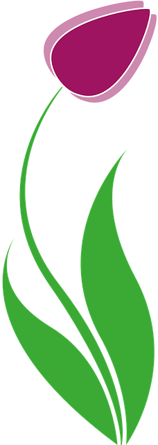 Tulip (320x640)