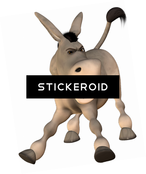 Donkey - Donkey (565x675)