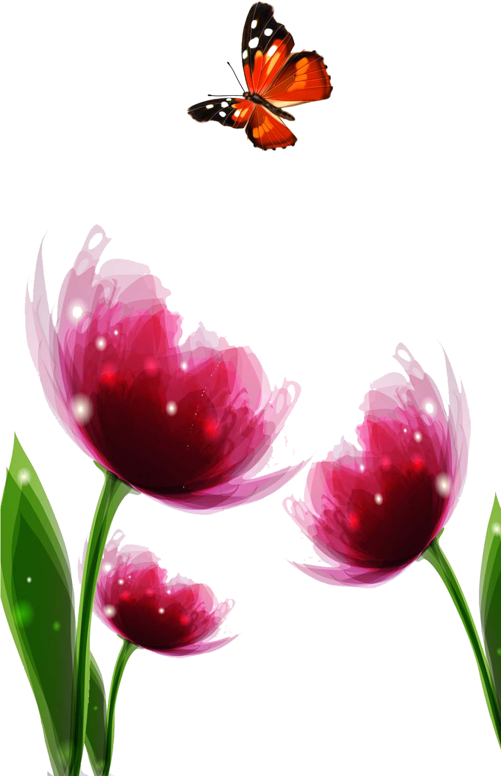 Tulipan Y Mariposa (999x1873)