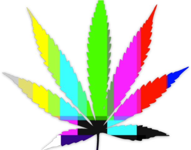 Toronto Maple Leafs Marijuana (640x480)