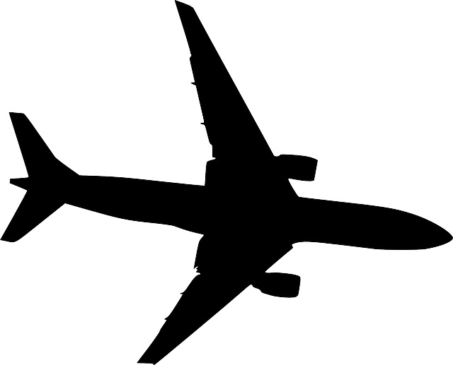 Skunk 20clipart - Plane Vector (640x517)