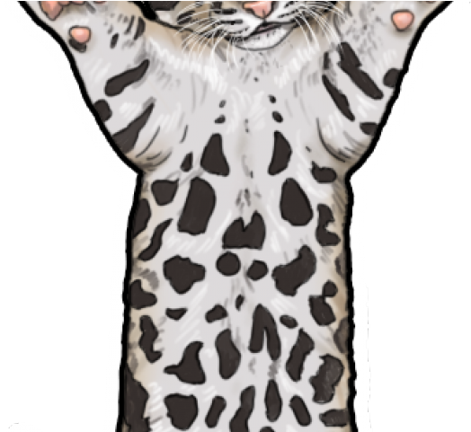 Clouded Leopard Clipart Leopard Head - Clouded Leopard (640x480)