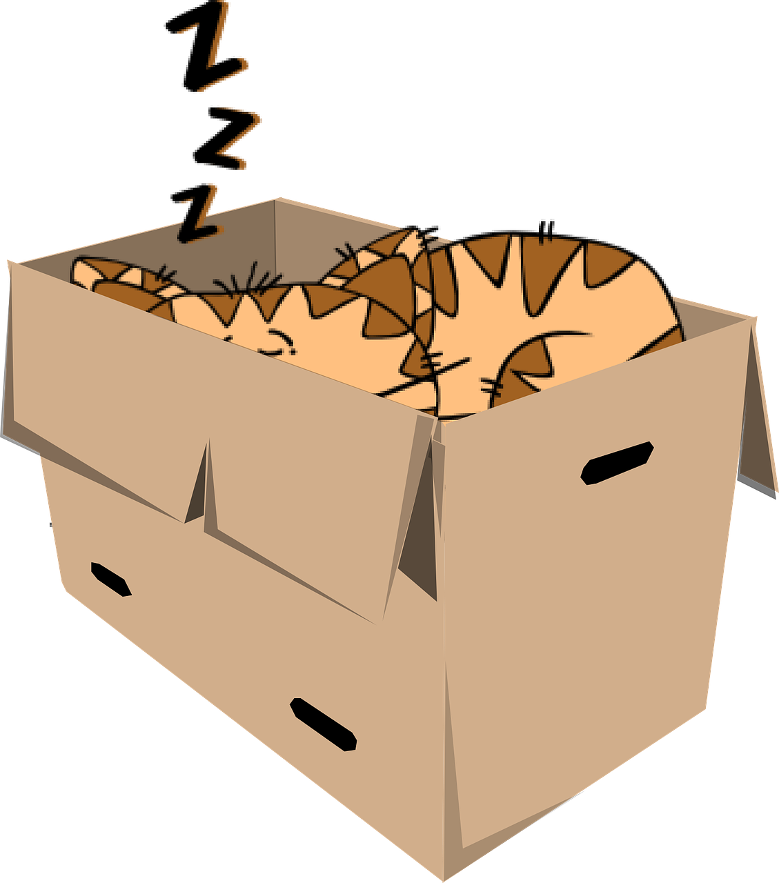 Cat Box Sleep - Cartoon Cat (1129x1280)