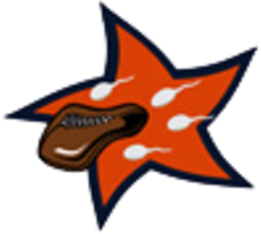 Original - Nfl (640x480)