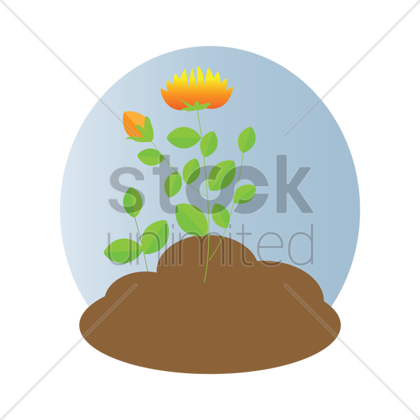 Sprouting (600x600)