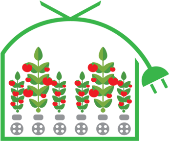 Modern Greenhouse Systems - Tomato (453x345)