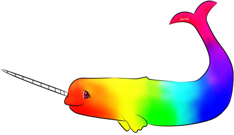 Rainbow Narwhal (900x582)