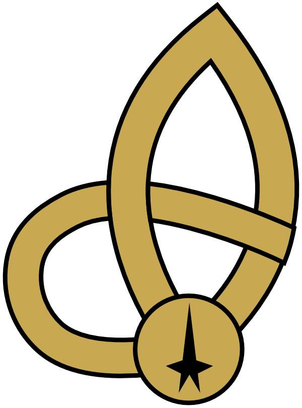 Uss Constellation Assignment Patch - Uss Constellation Star Trek Insignia (600x810)