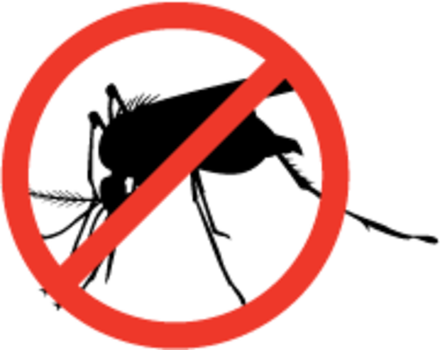 Bio Vector Mosquito - Bio Vector Mosquito (620x494)