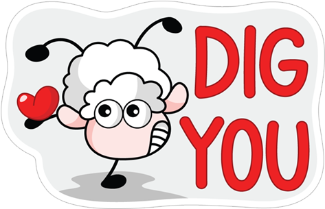 Dig You - Sheep (490x317)