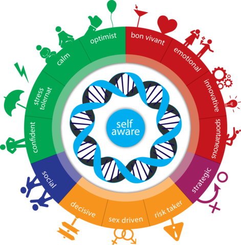 Karmagenesalgorithm - Personality Test (471x480)