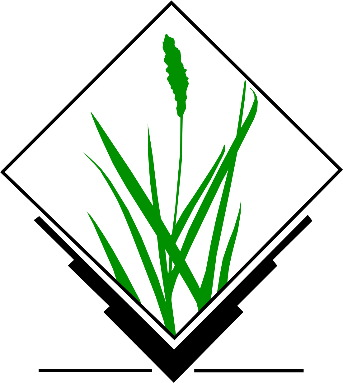 Grass Gis (1200x1299)