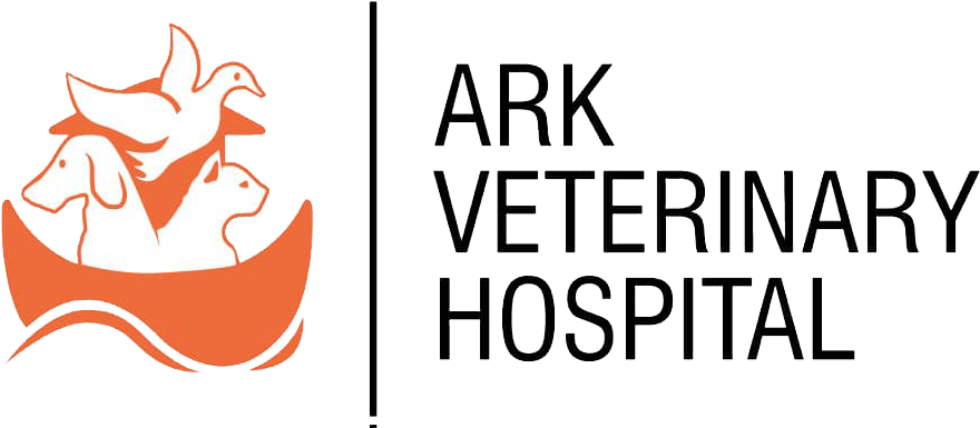 Veterinary Physician (900x396)