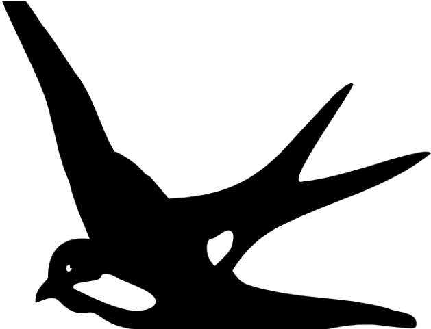 Swallow Clipart Vector - Swallow Clipart Vector (640x480)