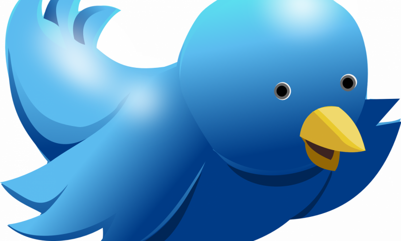 Computer Logo With Bird (800x480)