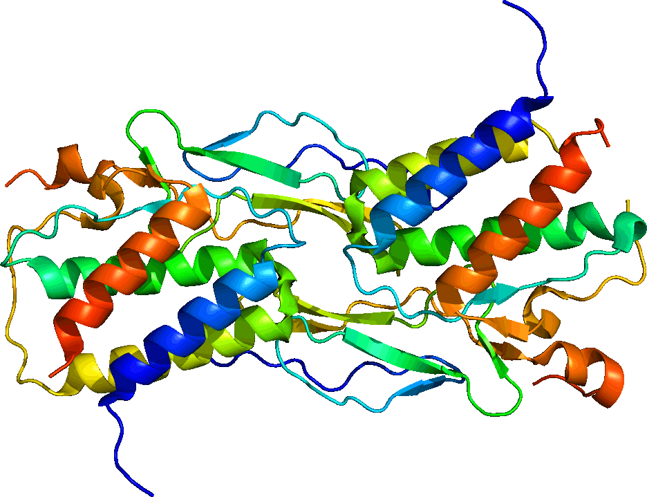 Interleucina 15 Il 15 (936x719)