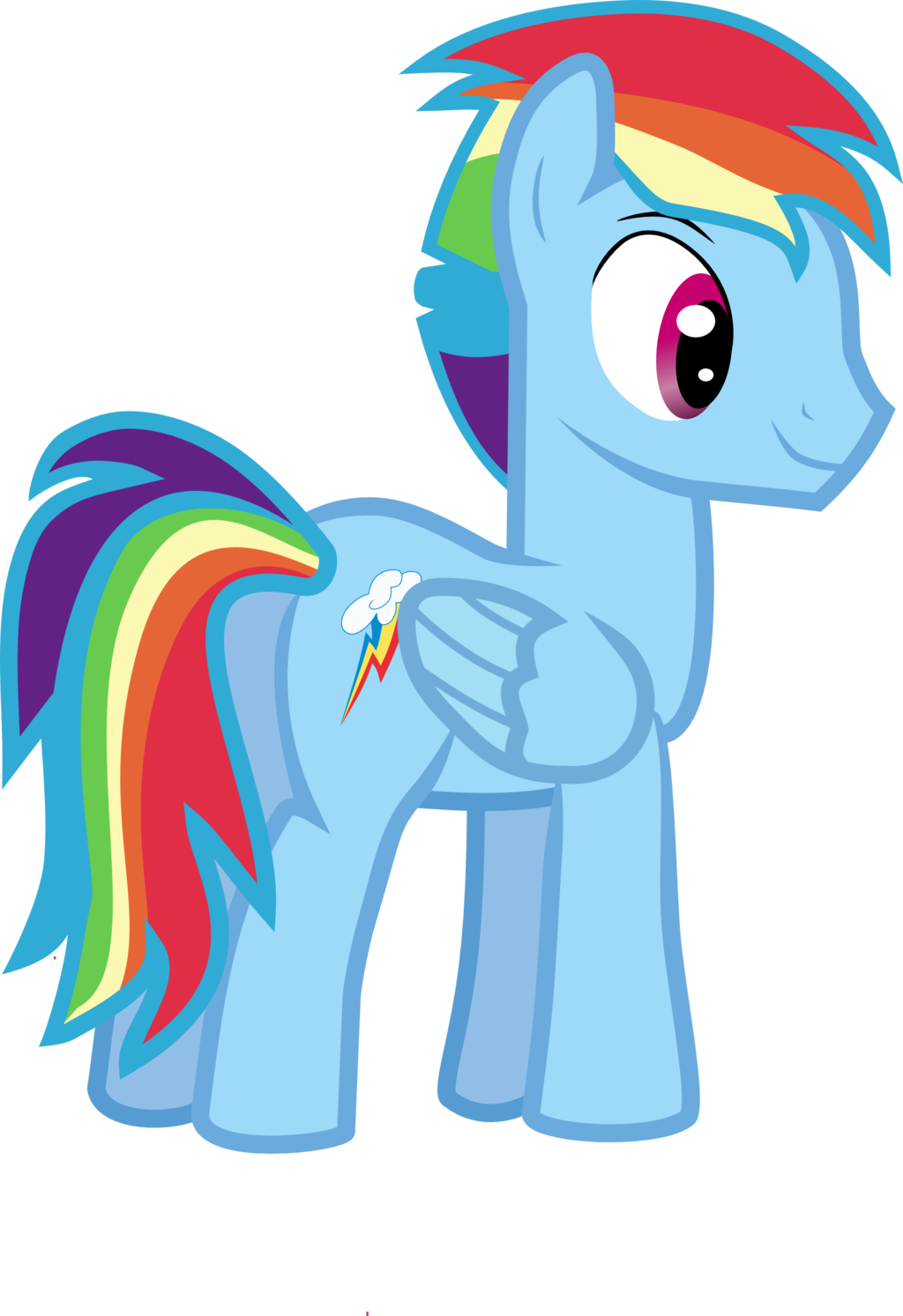 Artisticflounder, Rainbow Blitz, Rainbow Dash, Rule - Rainbow Dash (1024x1493)