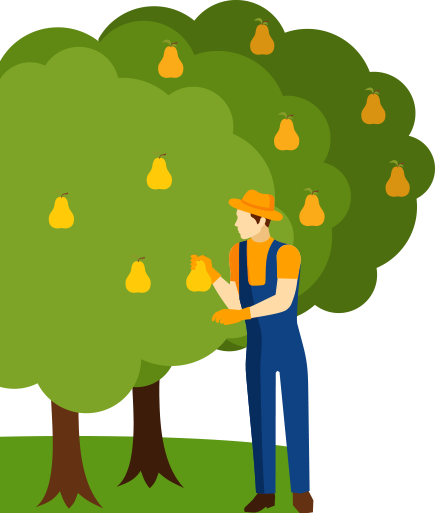 Orchard (435x513)