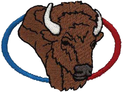 Large Patch Only - Bison (400x400)