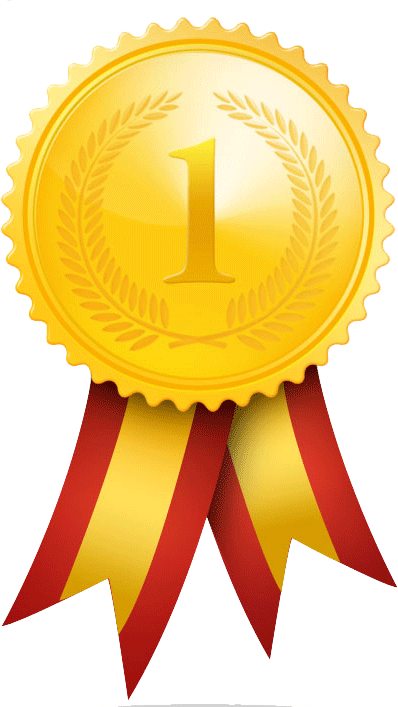 Awards - Pilates Ball - Yoga Ball - Stability Ball - Exercise (398x707)
