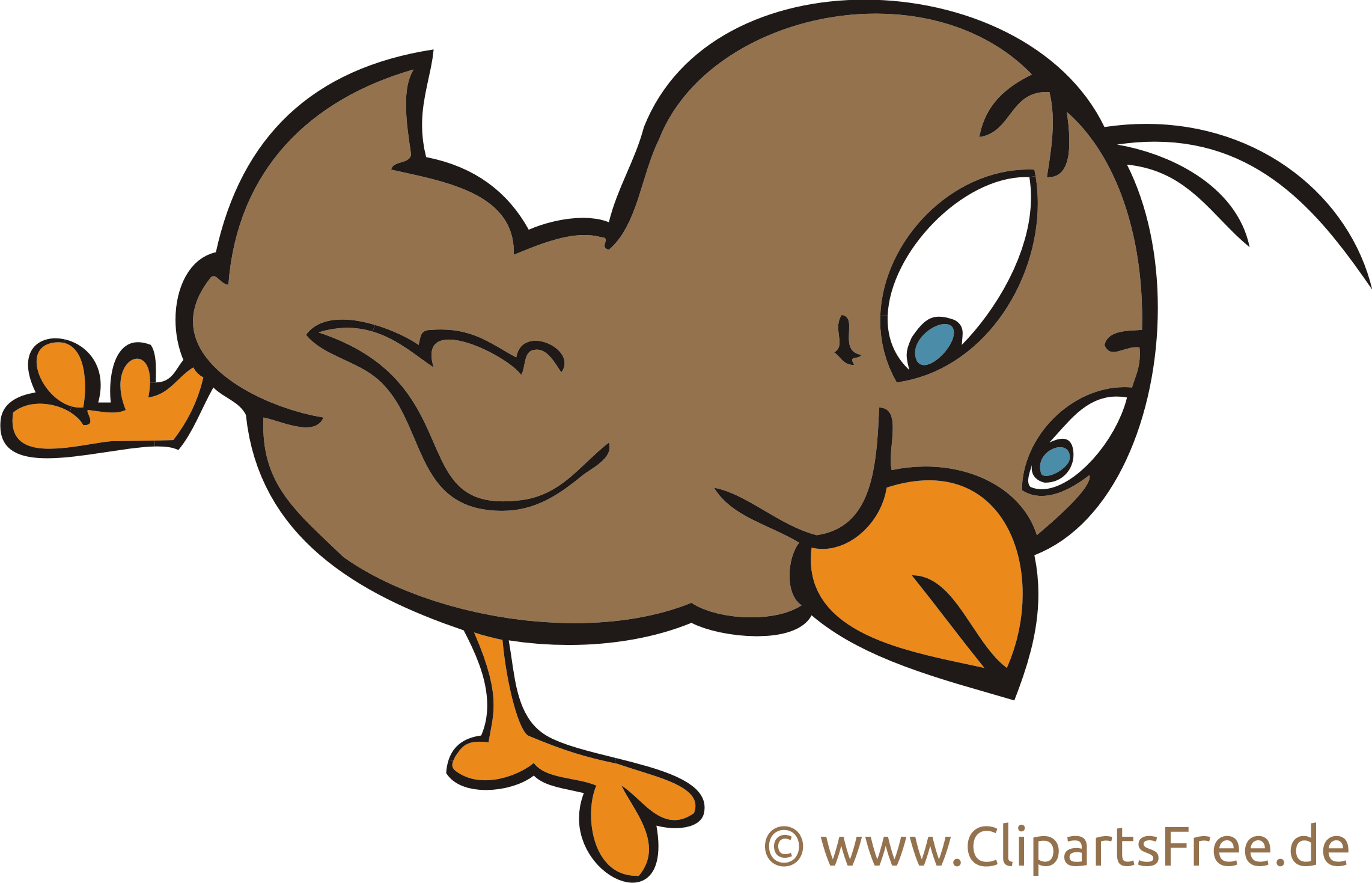 Beak (2283x1469)