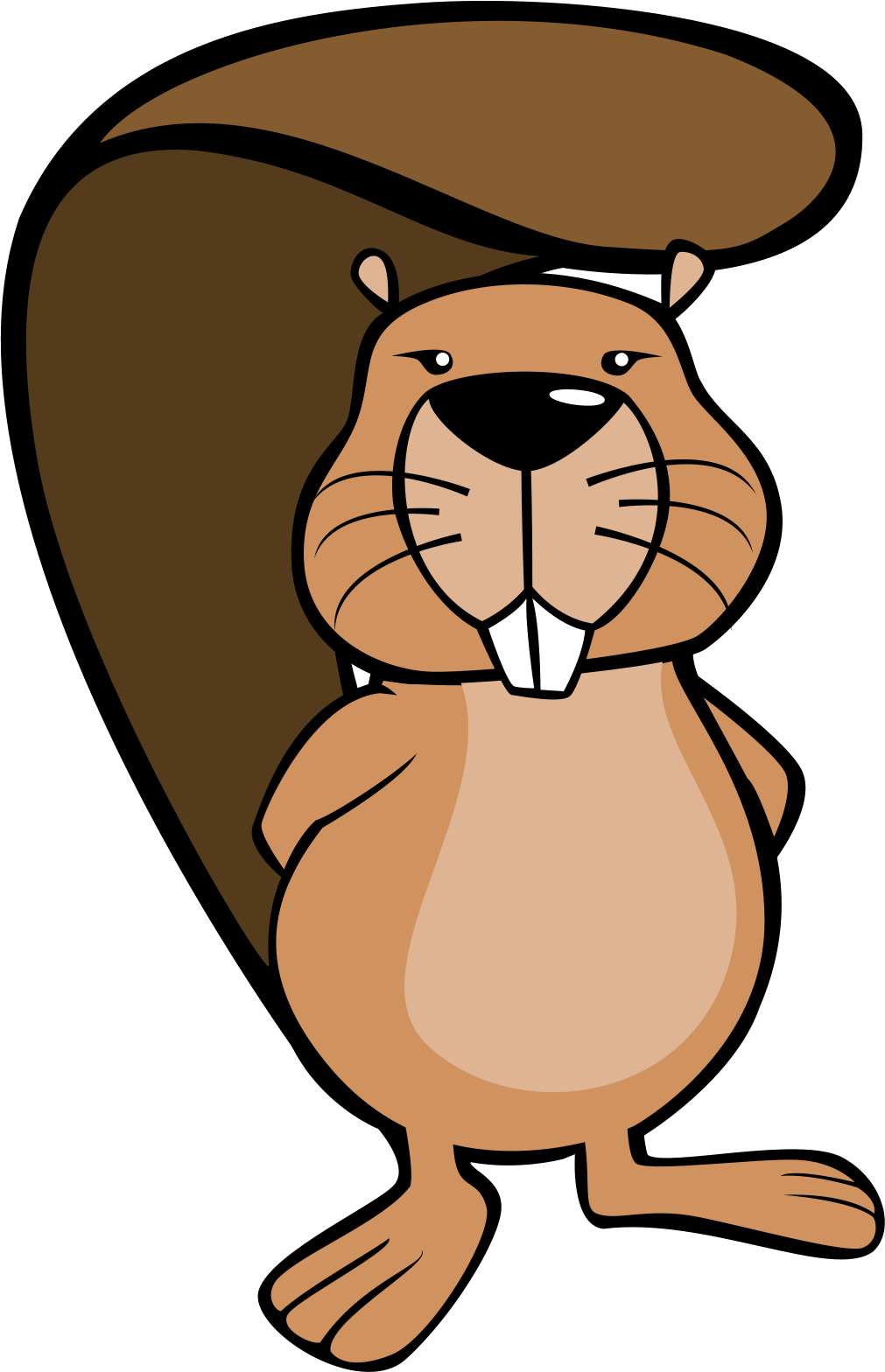 Anmeldung Young Americans - Bcc Beaver Computing Challenges (1011x1568)