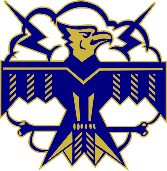 Visit Us Online - Thunderbird Baraboo High School (589x600)