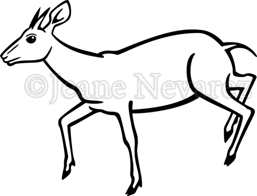 Art By Jeane Nevarez - Duiker Vector (520x396)