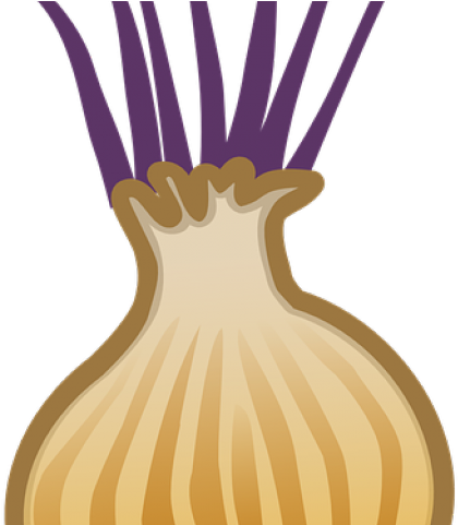 Original - Onion (640x480)
