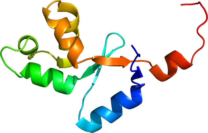 Mutation (800x511)
