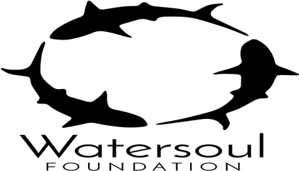 Watersoul Foundation - Carcharhiniformes (465x260)